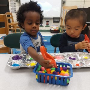 Children sorting pom poms by color into tin cupcake pan